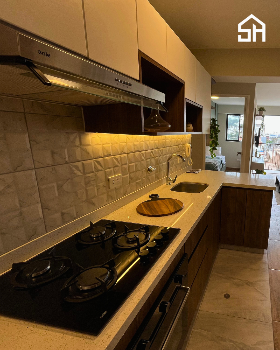 Proyectos inmobiliarios en San Miguel 4(12)